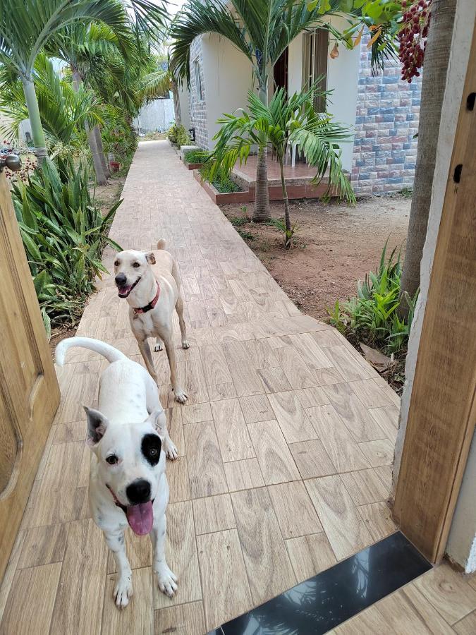 Aparta Suite Villa Roko San Andrés Dış mekan fotoğraf