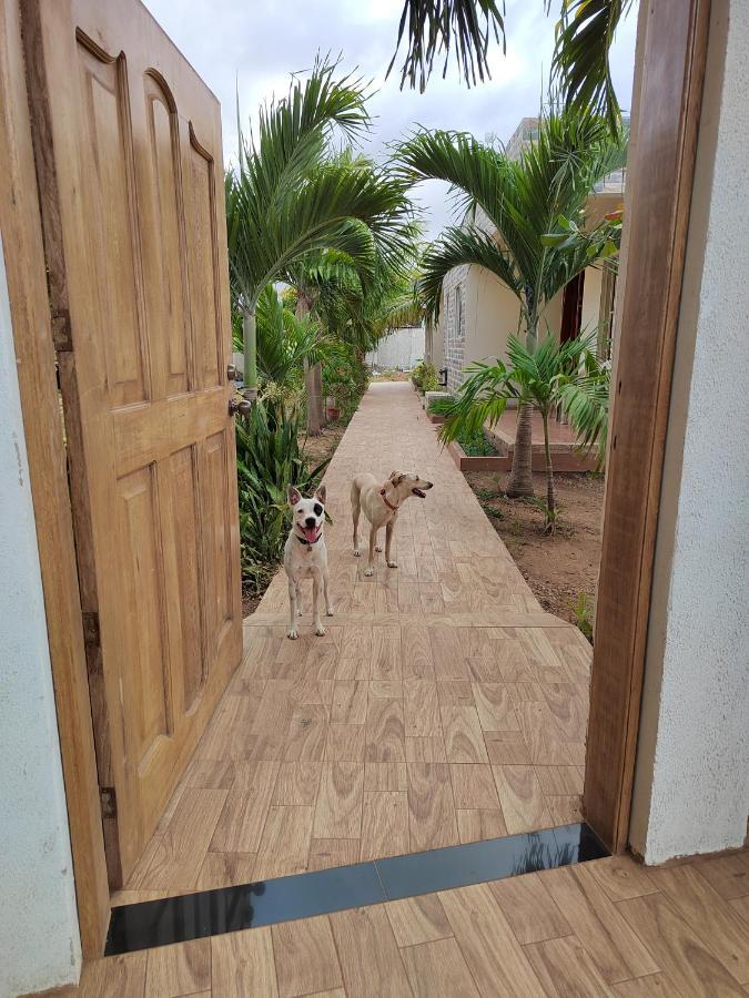 Aparta Suite Villa Roko San Andrés Dış mekan fotoğraf